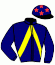 casaque portée par Lebourgeois Y. jockey du cheval de course GRAHIKA, information pmu ZETURF