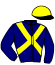 casaque portée par Barre M. jockey du cheval de course FANGIO DU GUESCLIN, information pmu ZETURF
