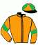 casaque portée par De Meyer Mme M. jockey du cheval de course IBISCUS DAMBRAY, information pmu ZETURF