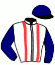 casaque portée par Desmigneux F. jockey du cheval de course JONC DE BLAY, information pmu ZETURF