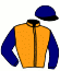 casaque portée par Nivard F. jockey du cheval de course JENNY BEACH, information pmu ZETURF casaque portée par Nivard F. jockey du cheval de course JENNY BEACH, information pmu ZETURF