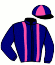 casaque portée par Garnier E. jockey du cheval de course FARCEUSE DU PRE, information pmu ZETURF casaque portée par Garnier E. jockey du cheval de course FARCEUSE DU PRE, information pmu ZETURF