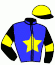 casaque portée par Ernault S. jockey du cheval de course KRUNCH FOR MONEY, information pmu ZETURF casaque portée par Ernault S. jockey du cheval de course KRUNCH FOR MONEY, information pmu ZETURF