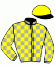 casaque portée par Barassin Thi. jockey du cheval de course KELLY D'ACADIE, information pmu ZETURF casaque portée par Barassin Thi. jockey du cheval de course KELLY D'ACADIE, information pmu ZETURF