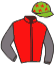 casaque portée par Sevestre R. jockey du cheval de course JONVILLE DU BARBEY, information pmu ZETURF casaque portée par Sevestre R. jockey du cheval de course JONVILLE DU BARBEY, information pmu ZETURF