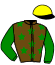 casaque portée par Houyvet S. jockey du cheval de course KAOLIN MOUROTAIS, information pmu ZETURF