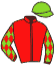 casaque portée par Van Petten Mlle E. jockey du cheval de course LOLITA COLMONT, information pmu ZETURF