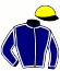 casaque portée par Louiche F. G. jockey du cheval de course LYLAS DES CAUX, information pmu ZETURF