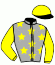 casaque portée par Cingland S. jockey du cheval de course ELAN DU ROCHER (FR), information pmu ZETURF