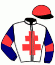 casaque portée par Ensch N. jockey du cheval de course HOTEL PARTICULIER (FR), information pmu ZETURF