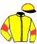 casaque portée par Brunet Mlle A. jockey du cheval de course FERNEY VOLTAIRE (FR), information pmu ZETURF