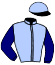 casaque portée par Gout R. jockey du cheval de course IVORY KINGDOM (FR), information pmu ZETURF