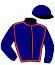 casaque portée par Hamelet J. jockey du cheval de course ELFIX DE NEEL (FR), information pmu ZETURF