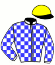 casaque portée par Derieux R. jockey du cheval de course EMENCOURT BLEQUIN, information pmu ZETURF