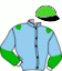 casaque portée par Laigron An. jockey du cheval de course ELOGIO TEJY, information pmu ZETURF