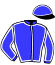 casaque portée par Cingland S. jockey du cheval de course HELLENDOR, information pmu ZETURF