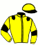 casaque portée par Cinier N. jockey du cheval de course HELLO EL SOL, information pmu ZETURF