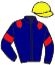 casaque portée par Rogier Mlle Soulages A. jockey du cheval de course HAVANA QUICK, information pmu ZETURF casaque portée par Rogier Mlle Soulages A. jockey du cheval de course HAVANA QUICK, information pmu ZETURF