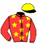 casaque portée par Gout R. jockey du cheval de course KISS ME DU MIDI, information pmu ZETURF casaque portée par Gout R. jockey du cheval de course KISS ME DU MIDI, information pmu ZETURF