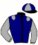 casaque portée par Bougon Bougeard P. jockey du cheval de course HELSKA DU FETU (FR), information pmu ZETURF