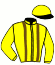 casaque portée par Motte L. jockey du cheval de course ERCULE DE NAVARY (FR), information pmu ZETURF
