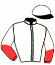 casaque portée par Piton J. Ch. jockey du cheval de course FABIAN B.R. (NO), information pmu ZETURF