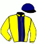 casaque portée par Gastineau J. jockey du cheval de course HABANERA MIP, information pmu ZETURF