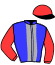 casaque portée par Parling D. jockey du cheval de course GIPSY DE CHAMANT (FR), information pmu ZETURF