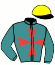 casaque portée par Kuiper R. jockey du cheval de course GOLD AND GREEN (FR), information pmu ZETURF
