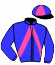 casaque portée par Rebeche A. jockey du cheval de course GULLIVER DES BOIS (FR), information pmu ZETURF