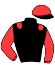 casaque portée par Lefevre D. jockey du cheval de course ISADORA STAR (FR), information pmu ZETURF
