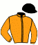 casaque portée par Melis Macias J. jockey du cheval de course HASTIG VASTERBO (FR), information pmu ZETURF
