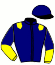 casaque portée par Bizoux Mic. jockey du cheval de course DIEGO DES ROIS (FR), information pmu ZETURF