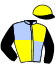 casaque portée par Pou Pou G. A. jockey du cheval de course HOMALEY DE LA LYS (FR), information pmu ZETURF