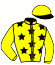 casaque portée par Garandeau A. jockey du cheval de course FADING DE MORTREE, information pmu ZETURF