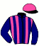 casaque portée par Guerineau F. jockey du cheval de course GRACE DIVINE (FR), information pmu ZETURF