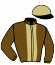 casaque portée par Dromigny T. jockey du cheval de course HAIKA MAGIQUE (FR), information pmu ZETURF