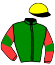 casaque portée par Desmigneux F. jockey du cheval de course IRONIE DU BAS BOSQ (FR), information pmu ZETURF