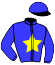 casaque portée par Moes M. jockey du cheval de course GOETSBY DU VIVIER (FR), information pmu ZETURF