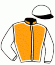 casaque portée par Guenet Mme B. jockey du cheval de course FERIA DU JOUAN (FR), information pmu ZETURF