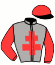 casaque portée par Sucaet G. jockey du cheval de course FENNEC JEGO, information pmu ZETURF