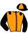 casaque portée par Coulon T. jockey du cheval de course JOY DE FOUQUE, information pmu ZETURF casaque portée par Coulon T. jockey du cheval de course JOY DE FOUQUE, information pmu ZETURF
