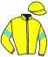 casaque portée par Depuydt Kri. jockey du cheval de course KINGSTON DYCO, information pmu ZETURF