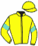 casaque portée par Depuydt Kri. jockey du cheval de course KINGSTON DYCO, information pmu ZETURF casaque portée par Depuydt Kri. jockey du cheval de course KINGSTON DYCO, information pmu ZETURF