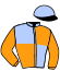 casaque portée par Derieux R. jockey du cheval de course LA BICHE, information pmu ZETURF casaque portée par Derieux R. jockey du cheval de course LA BICHE, information pmu ZETURF