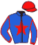 casaque portée par Raffestin J. jockey du cheval de course KIM SPEED, information pmu ZETURF casaque portée par Raffestin J. jockey du cheval de course KIM SPEED, information pmu ZETURF