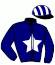 casaque portée par Damain Mar. jockey du cheval de course HASTRAIL DAIRPET, information pmu ZETURF