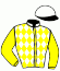 casaque portée par De Jesus Est. jockey du cheval de course HERCULE DE LEAU, information pmu ZETURF casaque portée par De Jesus Est. jockey du cheval de course HERCULE DE LEAU, information pmu ZETURF