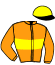 casaque portée par Lelievre Meh. jockey du cheval de course FARCEUR DE MAI, information pmu ZETURF casaque portée par Lelievre Meh. jockey du cheval de course FARCEUR DE MAI, information pmu ZETURF