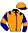 casaque portée par Devenne E. jockey du cheval de course MUSICALLY, information pmu ZETURF casaque portée par Devenne E. jockey du cheval de course MUSICALLY, information pmu ZETURF